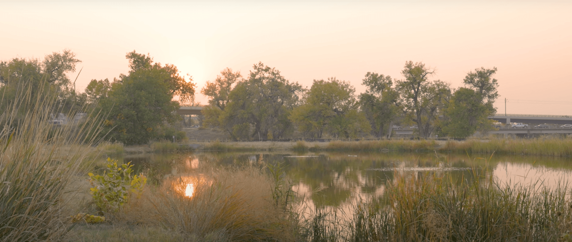 Lake area surrounded by trees at Sand Creek park